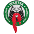 伊尔库茨克logo